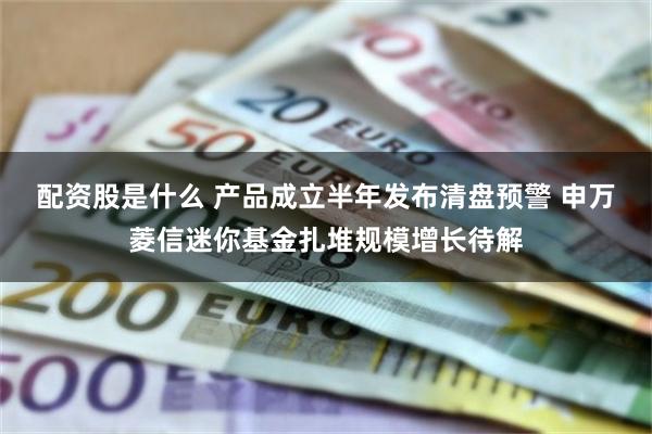 配资股是什么 产品成立半年发布清盘预警 申万菱信迷你基金扎堆规模增长待解