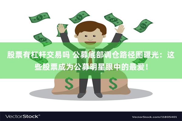 股票有杠杆交易吗 公募底部调仓路径图曝光：这些股票成为公募明星眼中的最爱！