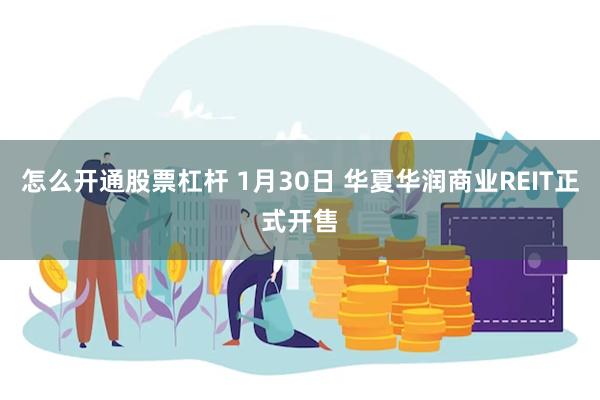 怎么开通股票杠杆 1月30日 华夏华润商业REIT正式开售