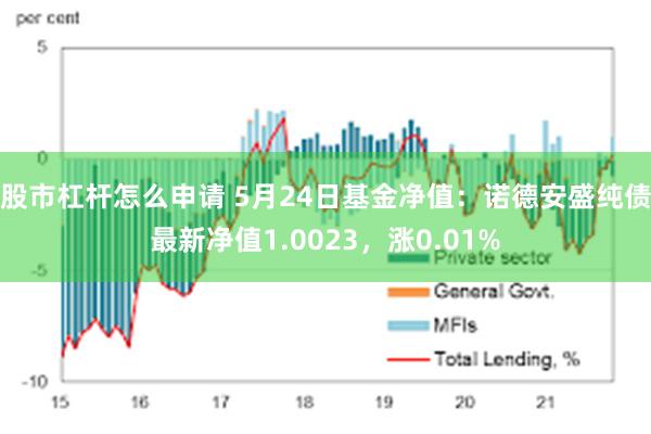 股市杠杆怎么申请 5月24日基金净值：诺德安盛纯债最新净值1.0023，涨0.01%