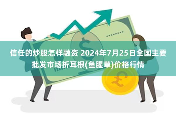 信任的炒股怎样融资 2024年7月25日全国主要批发市场折耳根(鱼腥草)价格行情