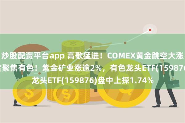 炒股配资平台app 高歌猛进！COMEX黄金跳空大涨3.29%，市场再度聚焦有色！紫金矿业涨逾2%，有色龙头ETF(159876)盘中上探1.74%