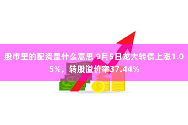 股市里的配资是什么意思 9月5日龙大转债上涨1.05%，转股溢价率37.44%