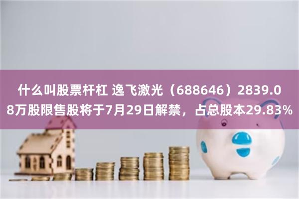 什么叫股票杆杠 逸飞激光（688646）2839.08万股限售股将于7月29日解禁，占总股本29.83%