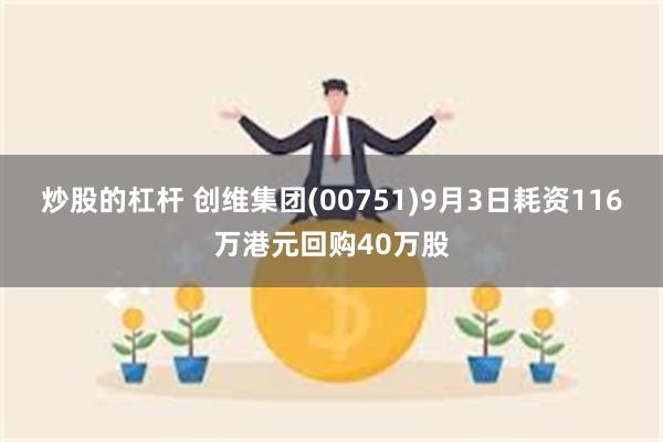 炒股的杠杆 创维集团(00751)9月3日耗资116万港元回购40万股