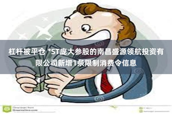 杠杆被平仓 *ST庞大参股的南昌盛源领航投资有限公司新增1条限制消费令信息