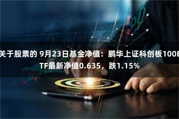 关于股票的 9月23日基金净值：鹏华上证科创板100ETF最新净值0.635，跌1.15%