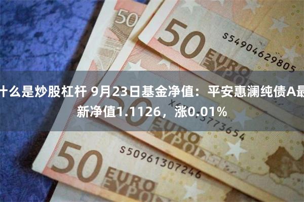 什么是炒股杠杆 9月23日基金净值：平安惠澜纯债A最新净值1.1126，涨0.01%