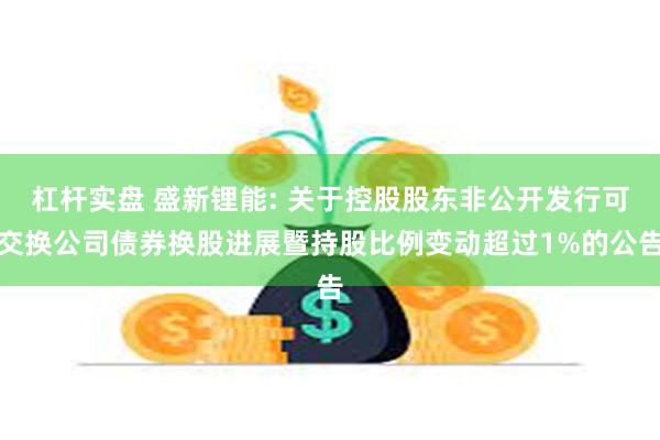 杠杆实盘 盛新锂能: 关于控股股东非公开发行可交换公司债券换股进展暨持股比例变动超过1%的公告