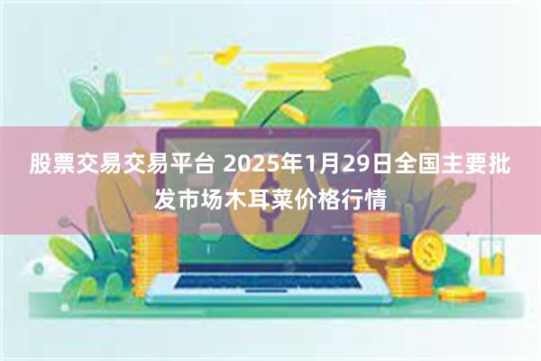 股票交易交易平台 2025年1月29日全国主要批发市场木耳菜价格行情