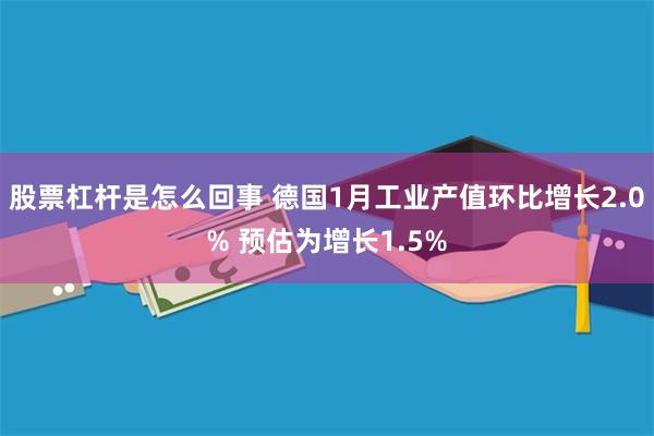 股票杠杆是怎么回事 德国1月工业产值环比增长2.0% 预估为增长1.5%