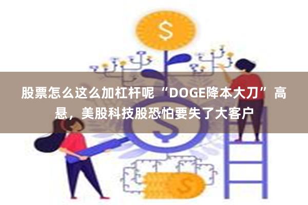 股票怎么这么加杠杆呢 “DOGE降本大刀” 高悬，美股科技股